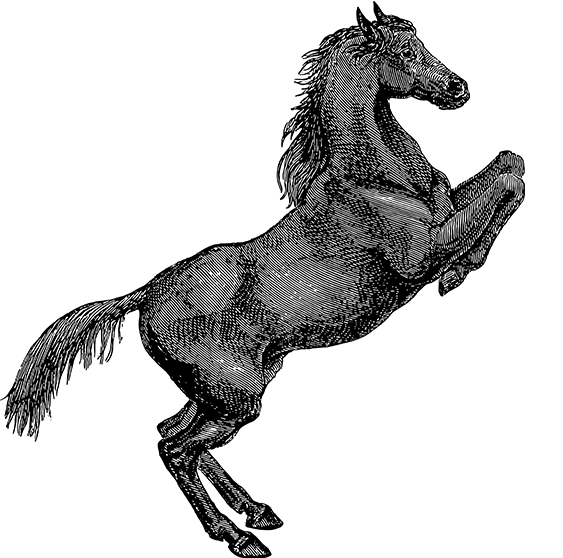 678